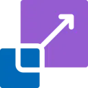   Technology Partner